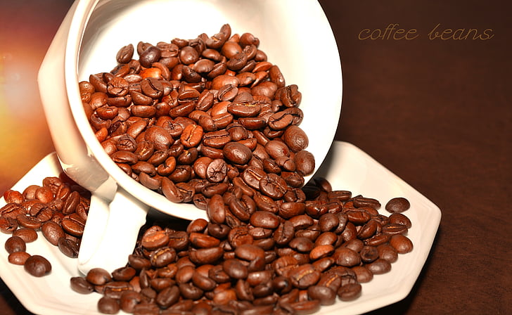 coffee beans, coffee, roasted, aroma, caffeine, cup, saucer