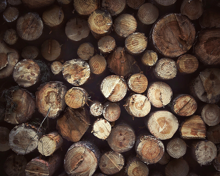 madeira, logs, muitos