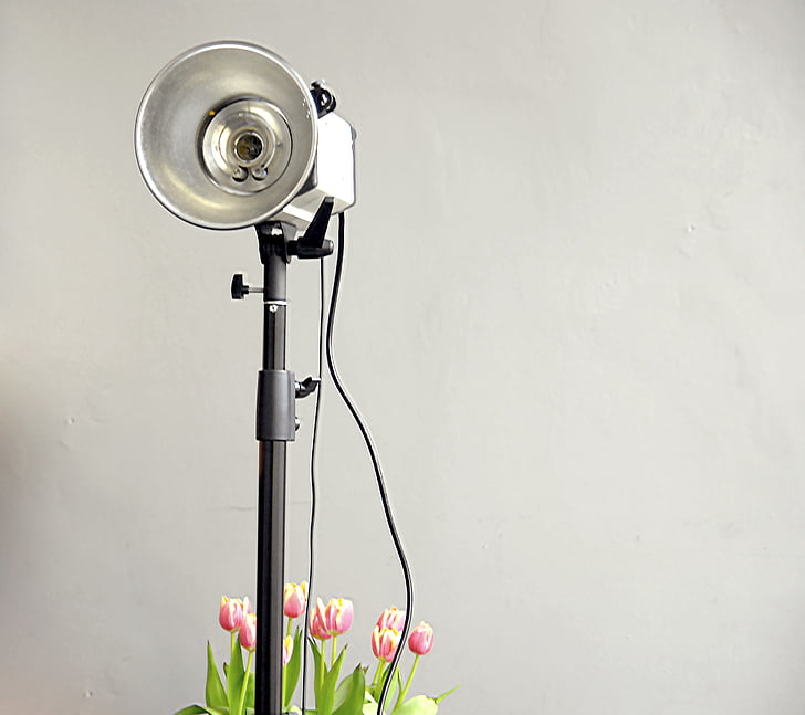 decoration, flora, flowers, lamp, light, tulips, equipment