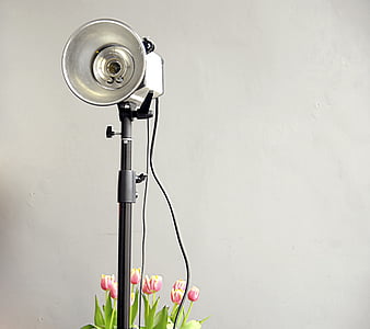 decoration, flora, flowers, lamp, light, tulips, equipment