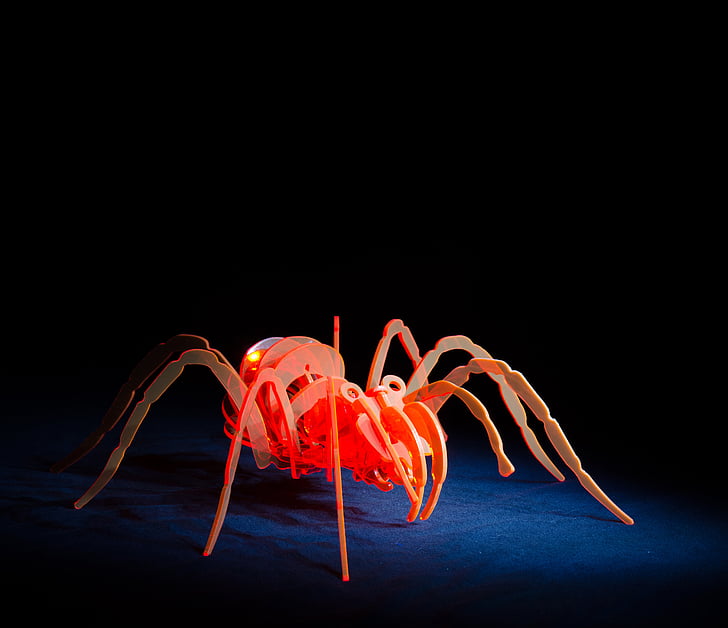 spider, acrylic, light painting
