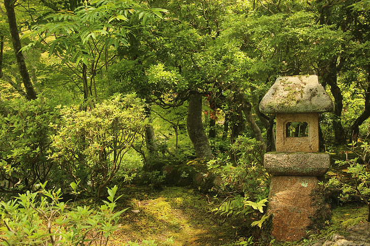 японська, сад, храм., зелені, Природа, дерево, на відкритому повітрі