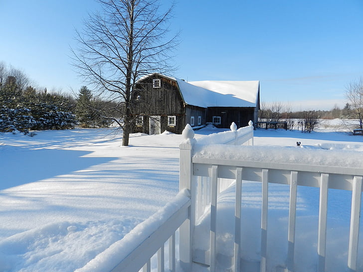 landscape, countryside, winter, season, snow, barn
