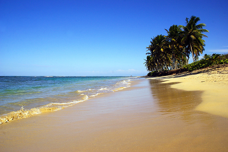 ile, Plaża, tropiki, morze, wakacje, piękna plaża, Karaiby