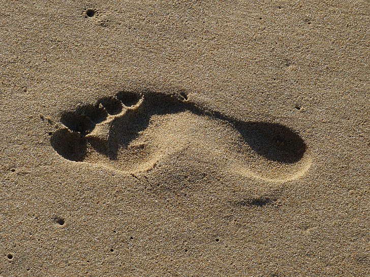 sand, beach, trace, tracks in the sand, footprints in the sand, footprint, sand beach