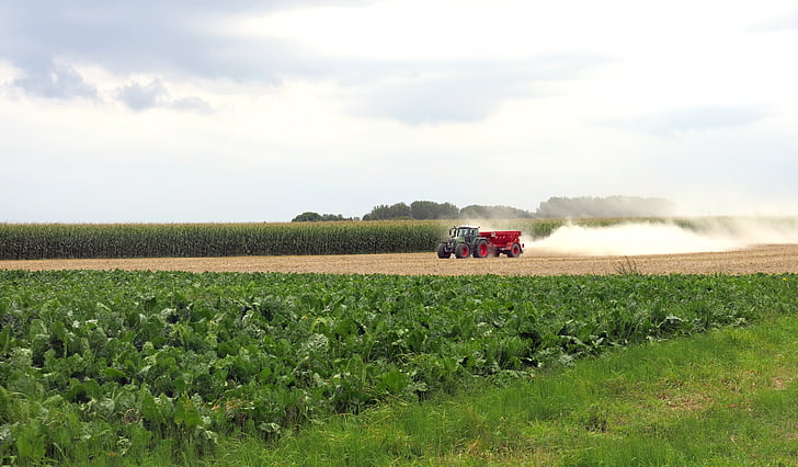 tractor, field, sky, harvest, agriculture, farm, rural Scene