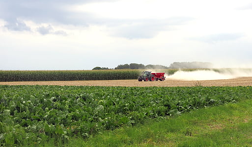 traktor, a mező, Sky, betakarítás, mezőgazdaság, Farm, vidéki táj