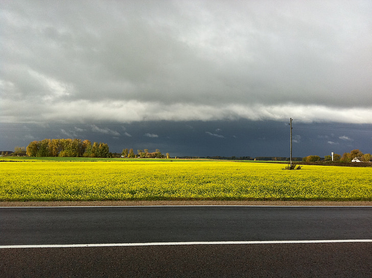 ulice, slunce, Příroda, obloha, krajina, mrak, Horizont