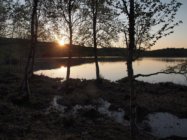 jazero, polnočné slnko, krásny výhľad, letné, vody, Fínsko, Woods