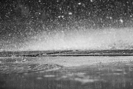 rain, drops, drip, shower, scene, nature, water