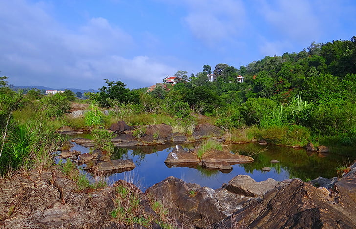 verde floresta, ghats ocidental, Rio sharavati, leito do Rio, água, vegetação, Cachoeira do jog