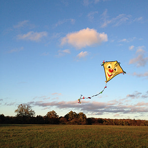 kites rise, autumn, dragons, sky, fly, toys, wind