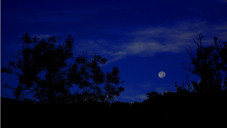 volle maan, volledige, maan, donker blauw, hemel, silhouet, wit