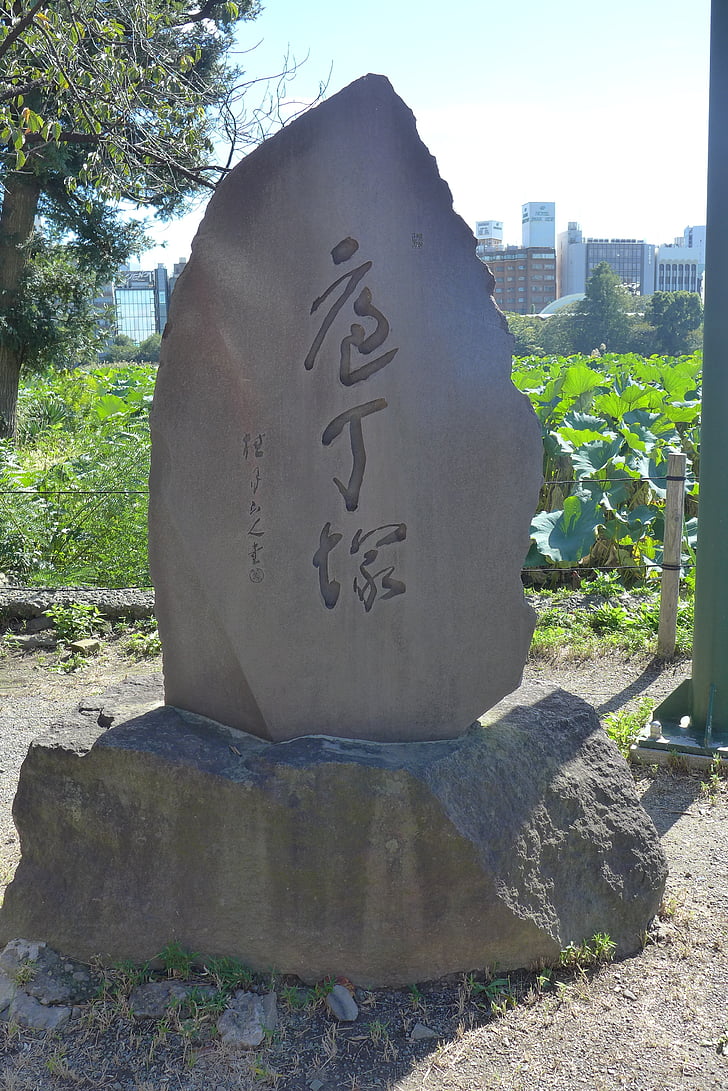 Ueno, nuga künkad, Mittesuitsetajate tiik, kalmistu, hauakivi