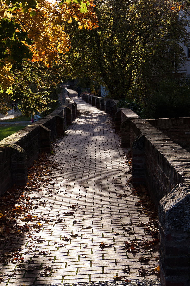 staro mestno jedro, mestnega obzidja, jeseni, padec listje, zlati jeseni, listi, listi v jeseni