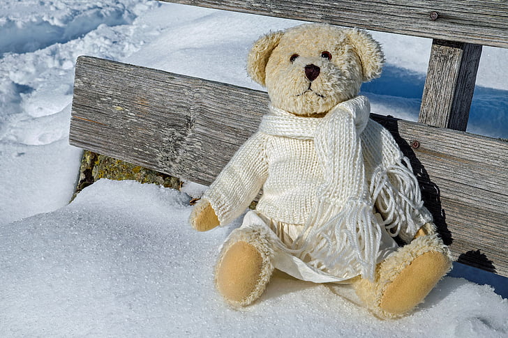 Teddy, plyš, medvědi, sedící, verschneiter, banka, slunce