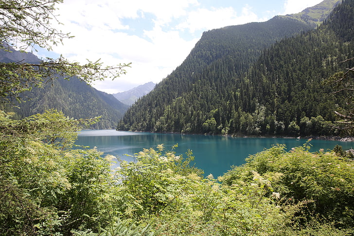 Jiuzhaigou, wody, drzewo