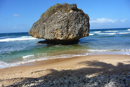 Barbados, pláž, léto, slunce, Karibská oblast, Tropical, Rock
