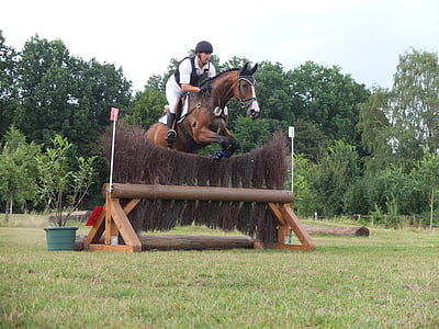 versatility, jump, eventing, military, training, obstacle, reiter