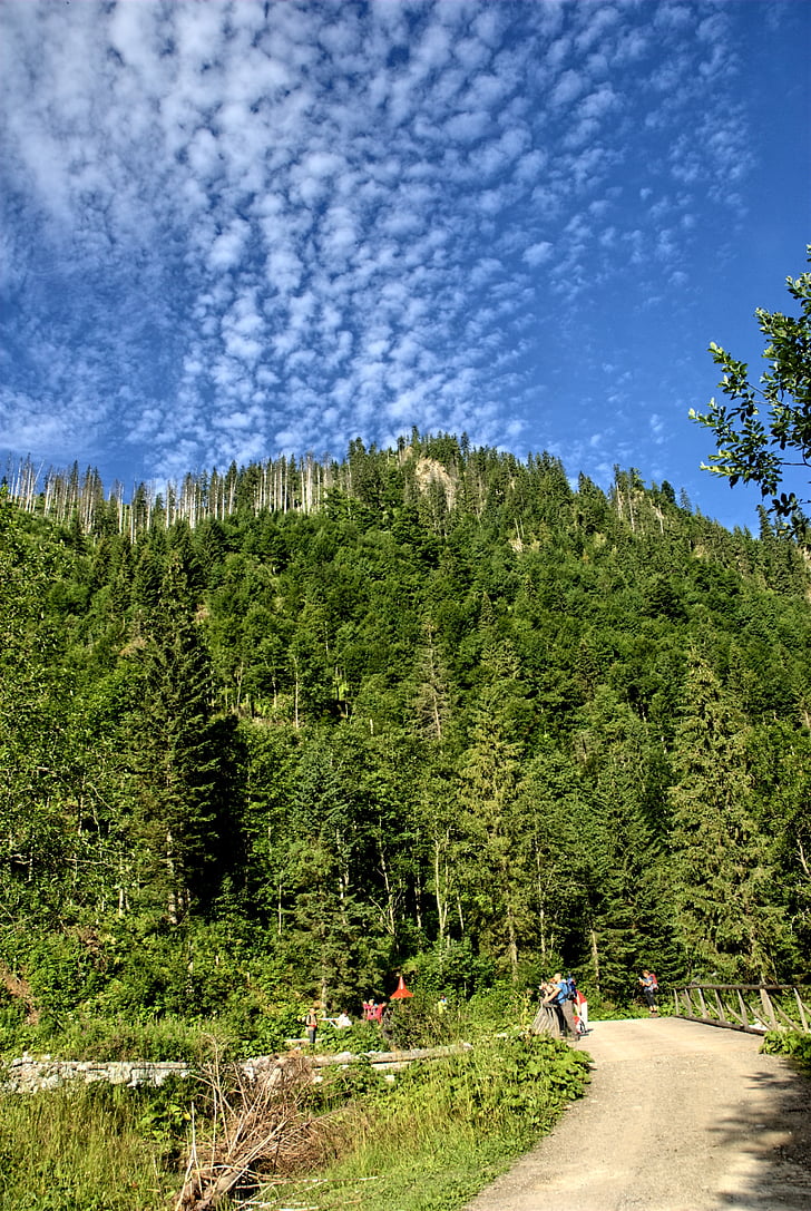 Tatry, Slovakiet, landskab, ovenfra, bjerge, Se, natur