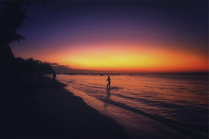 siluett, person, stående, Ocean, Sundown, solnedgång, skymning