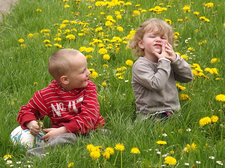 children, boy, girl, young, play, meadow, making a face
