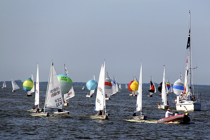 sailing boats, sailing, water, summer, ribnitz ut, regatta