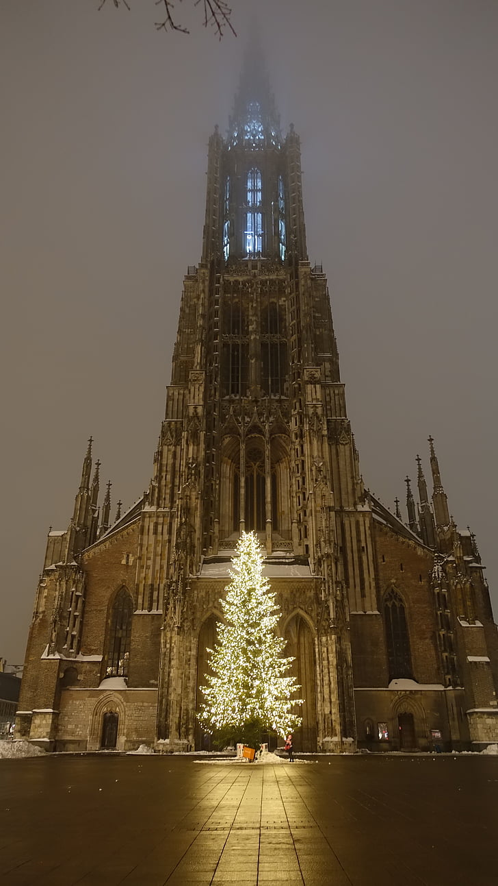 Ulm-katedralen, julgran, belysta, juletid, natt, Ulm, Gothic