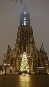 Katedrála Ulm, Vánoční strom, osvětlené, Vánoční čas, noční, Ulm, Gotická