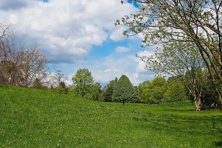 landscape, field, nature, agriculture, spring, meadow, clouds