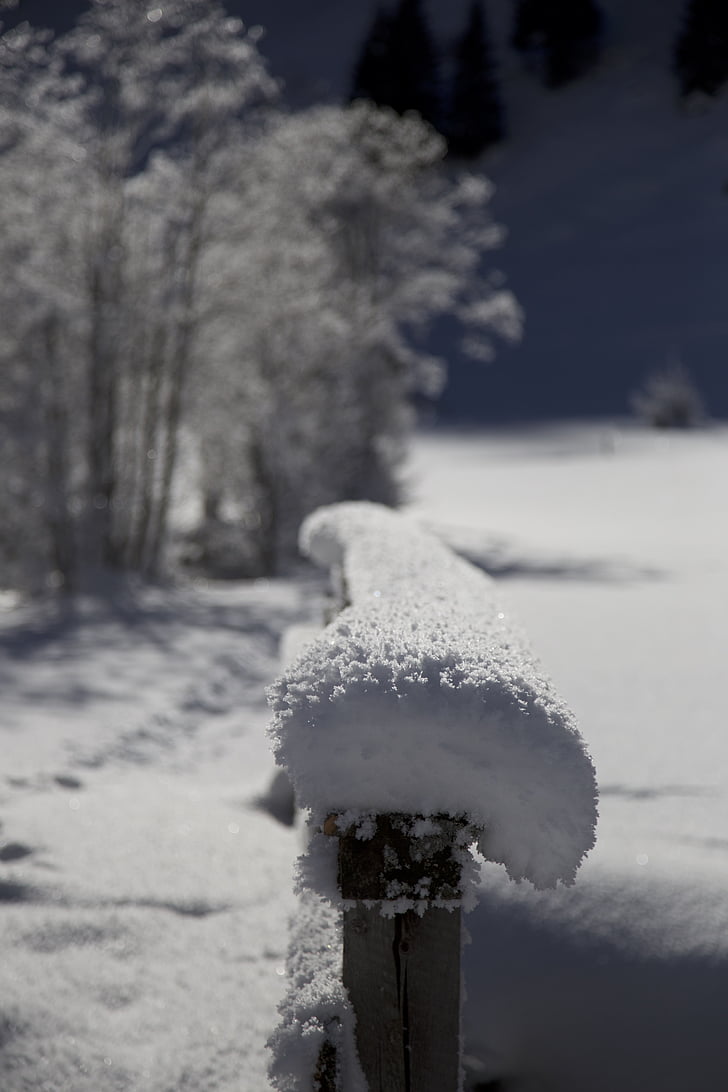 zimski, sneg, zasneženih, narave, regiji Wipptal-valsertal