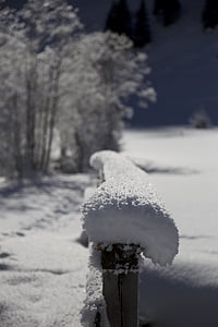 hivernal, neu, cobert de neu, natura, Wipptal-valsertal