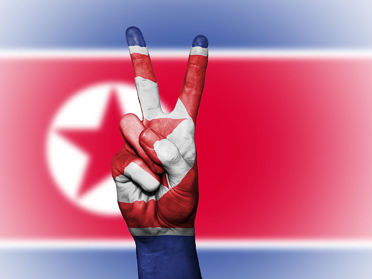 Nord-korea, fred, hånd, nasjon, bakgrunn, banner, farger
