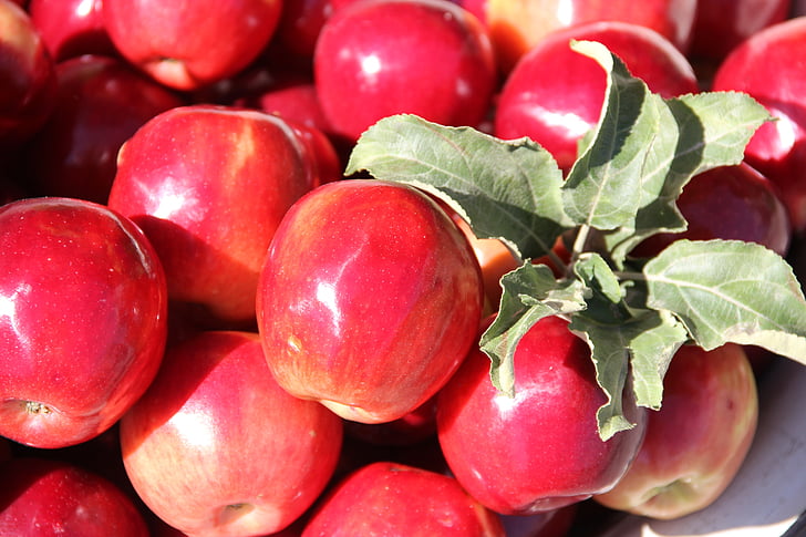 Apple, merah, berumur, buah, musim gugur, apel merah, putaran