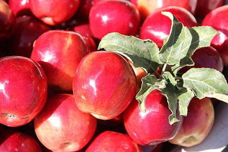 แอปเปิ้ล, สีแดง, แก่ ๆ, ผลไม้, ฤดูใบไม้ร่วง, แอปเปิ้ลแดง, รอบ