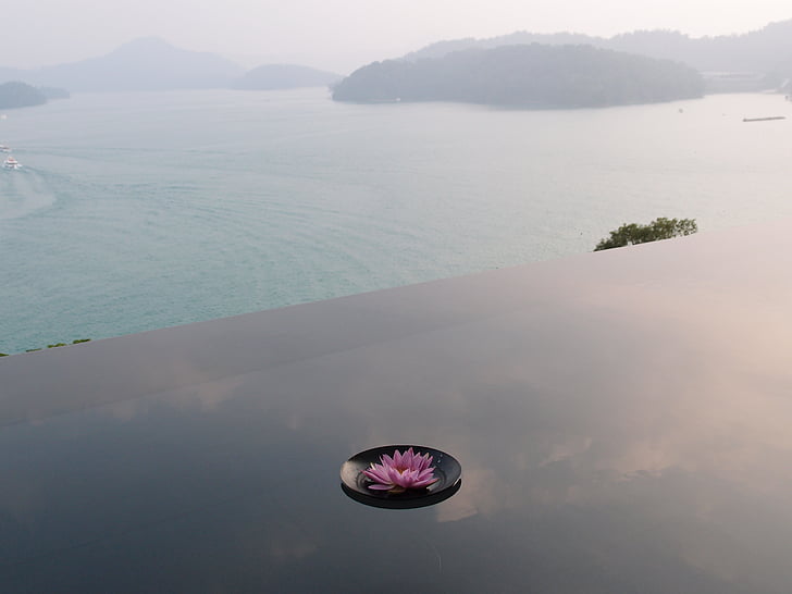 Sun moon lake, reflexe rybník, květ, Yuchi township, Tchaj-wan, Zátiší, jezero