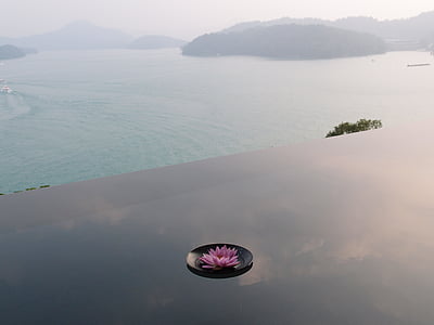Sun moon lake, reflexe rybník, květ, Yuchi township, Tchaj-wan, Zátiší, jezero