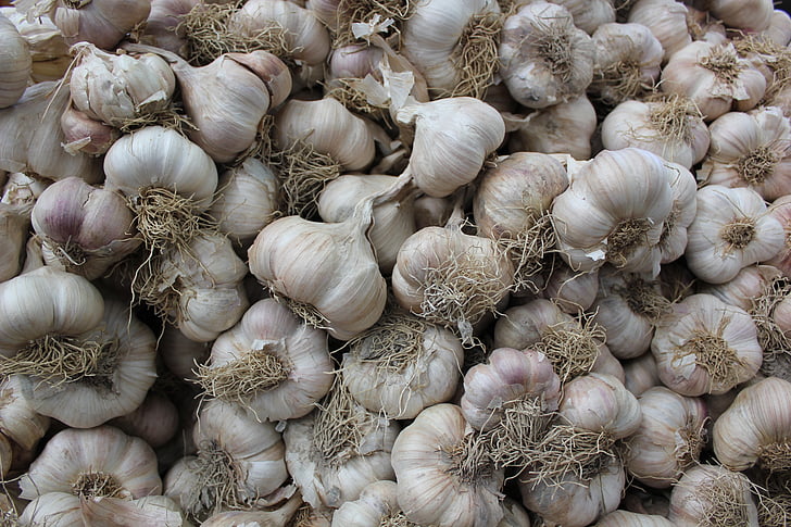 garlic, texture, background, natural, white