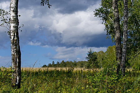 landscape, blue sky, dark cloud, white clouds, nature, forest, siberia