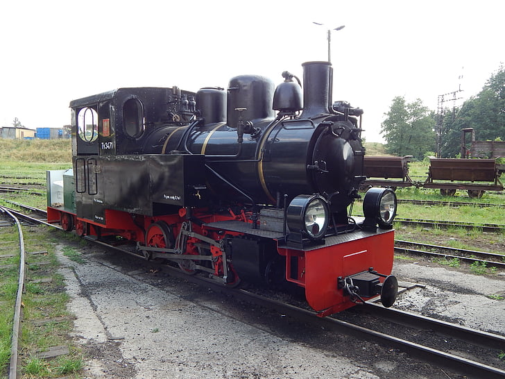 вузькоколійна залізниця, поїзд, Вагони, локомотива, Рейки, історичний транспортного засобу