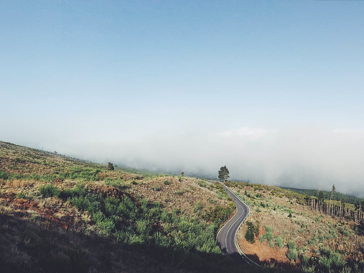 countryside, fog, road, sky, smoke, trees, nature