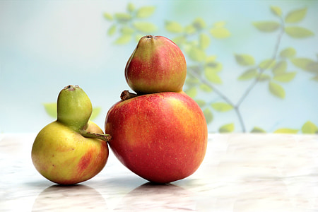 φρούτα, Apple, ελάττωμα του γονιδίου, Freak της φύσης, Νεκρή φύση