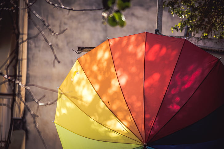 nature, tree, branches, umbrella, color, rainbow, leaves