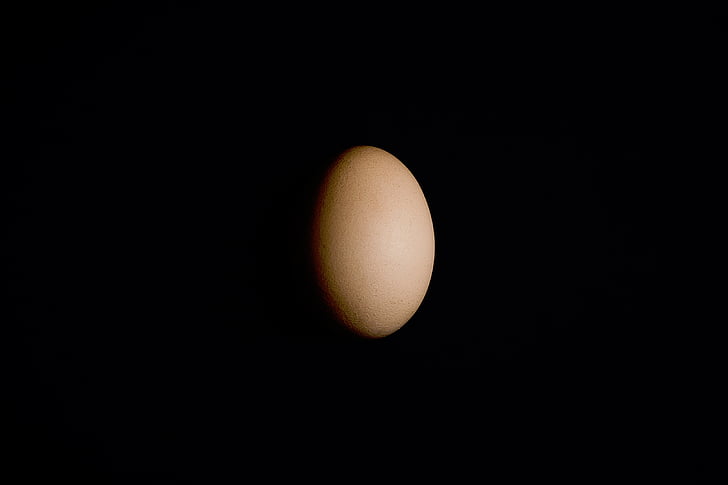 Черно, сянка, яйце, светлина, кафяв, храна, животински яйце