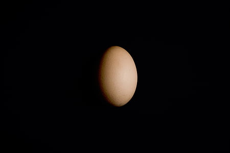 hitam, bayangan, telur, cahaya, coklat, Makanan, hewan telur