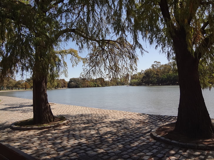 Lake, puud, hiied Palermo, buenos aires