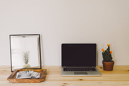 Cactus, bureaublad, frame, fruit, kantoor aan huis, laptop, MacBook pro