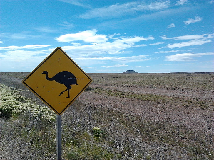 estepa, Patagonia, señal de tránsito, Pico Truncado, Argentina, Santa cruz, desierto