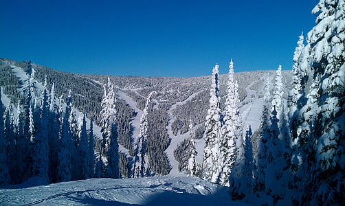 캐나다, 눈, 스키, 브리티시 컬럼비아