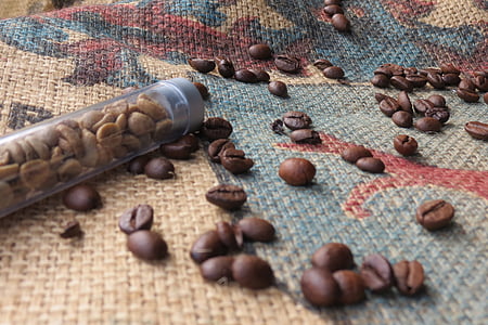 café, grains de café, café vert, Comparaison de, café torréfié, différences, grillé